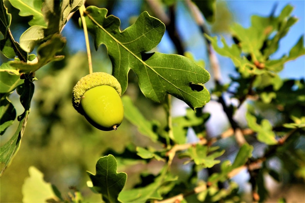Conservation efforts to protect our environment